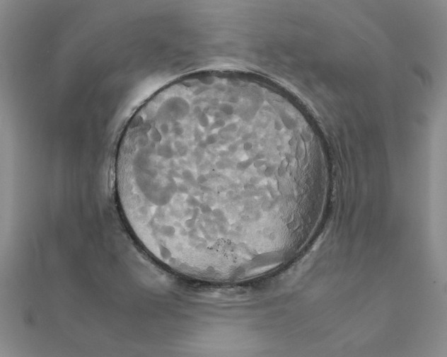 X0000111231367200908131114
