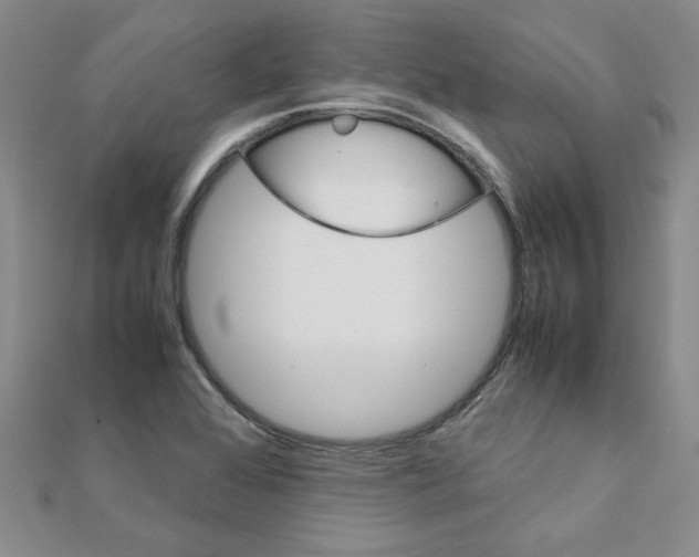 X0000111231368200908131114