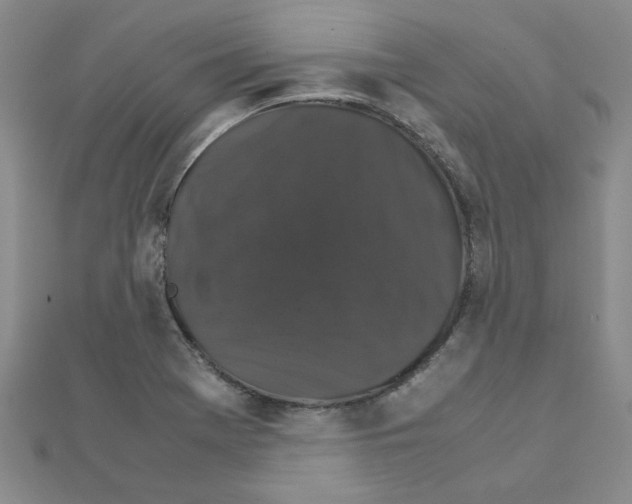 X0000111231369200908131114