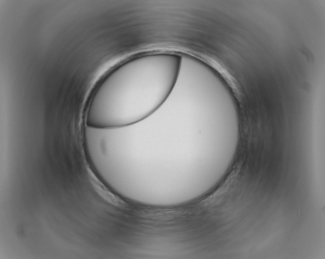 X0000111231372200908131114