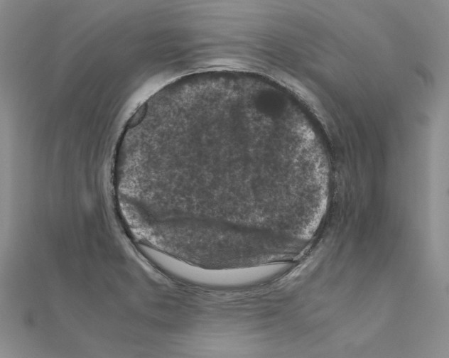 X0000111231373200908131114
