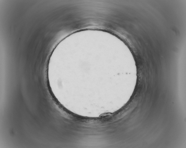 X0000111231375200908131114