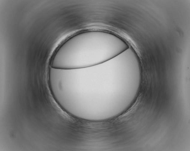 X0000111231376200908131114