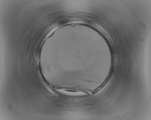 X0000111231377200908131114
