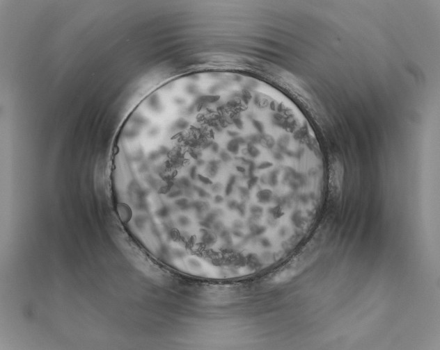 X0000111231378200908131114