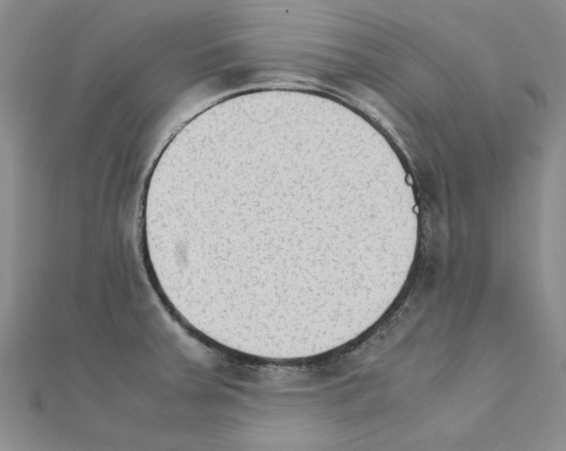 X0000111231379200908131114