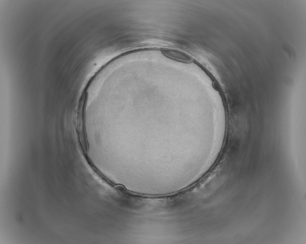 X0000111231381200908131114