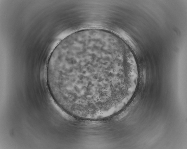 X0000111231382200908131114