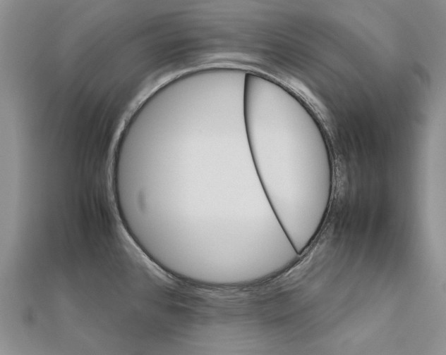 X0000111231384200908131114
