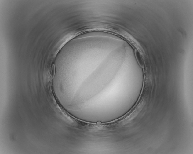 X0000111231385200908131114