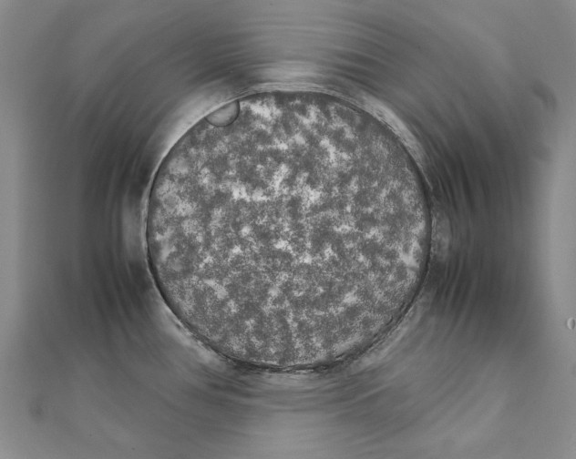 X0000111231386200908131114