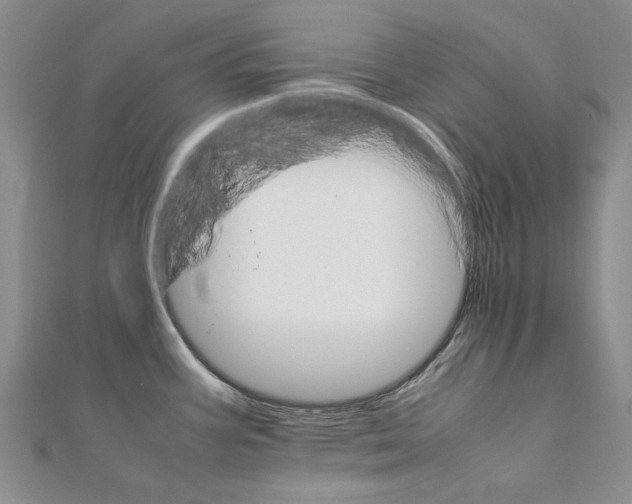 X0000111231387200908131114