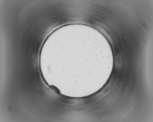 X0000111231388200908131114