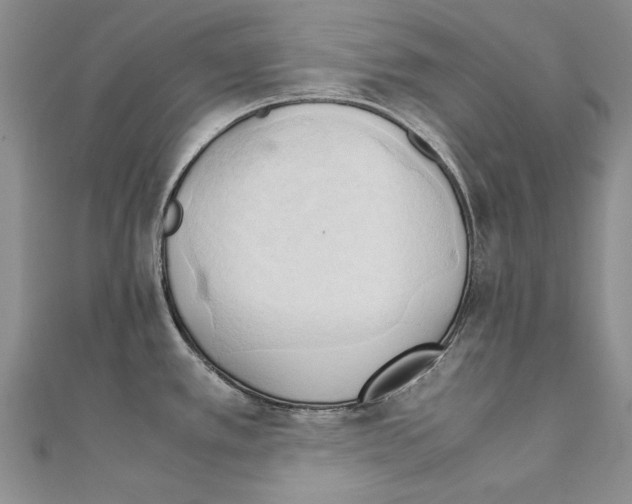 X0000111231389200908131114