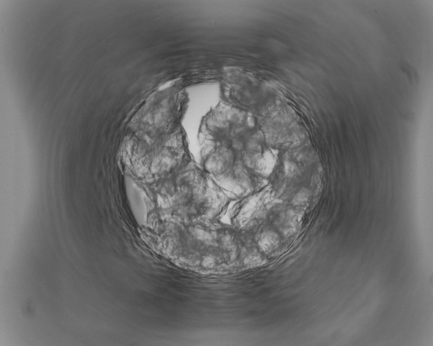 X0000111231393200908131113