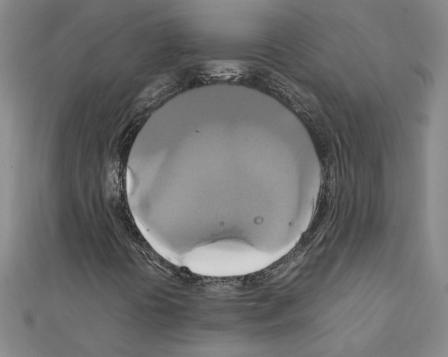 X0000111231394200908131113