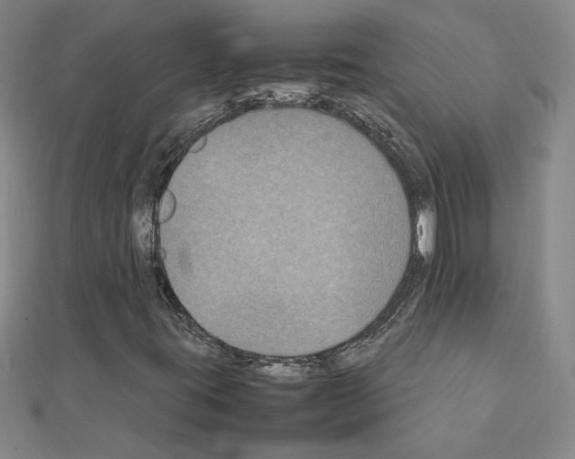 X0000111231395200908131113