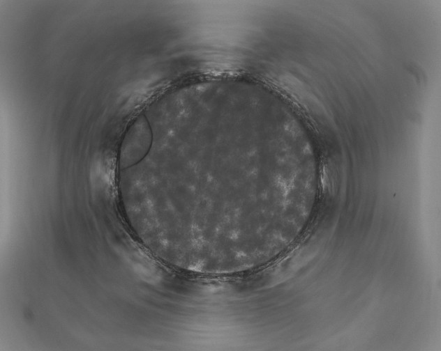 X0000111231396200908131113