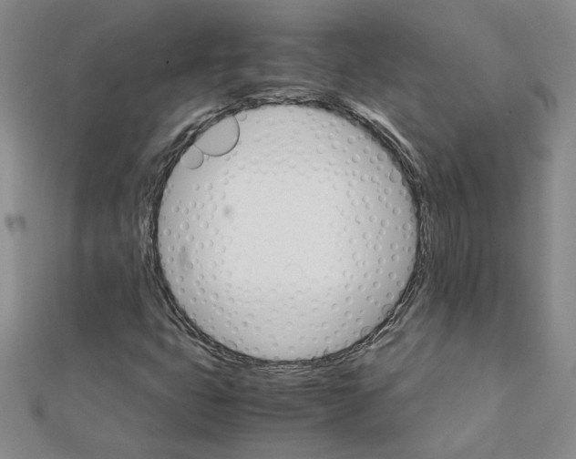 X0000111231399200908131113