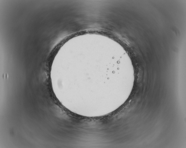 X0000111231400200908131113