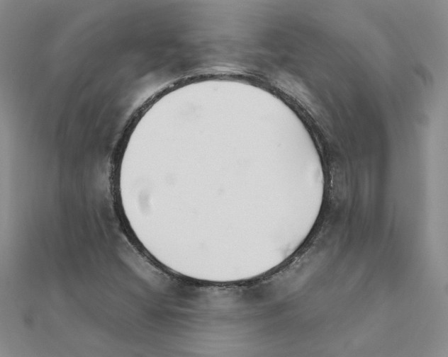X0000111231404200908131113