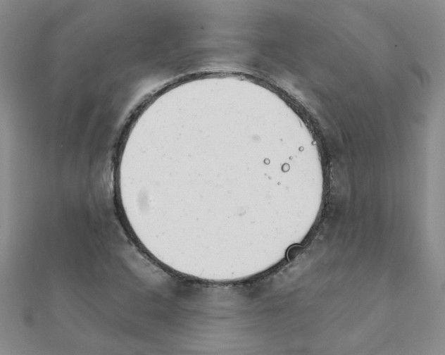 X0000111231408200908131113