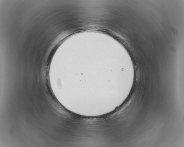 X0000111231410200908131113