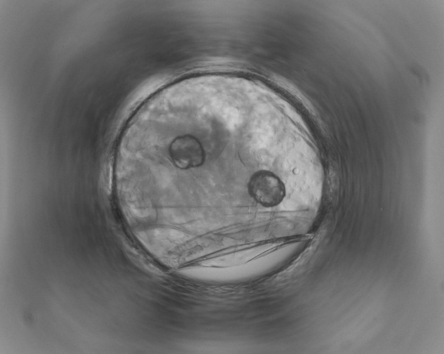 X0000111231413200908131113