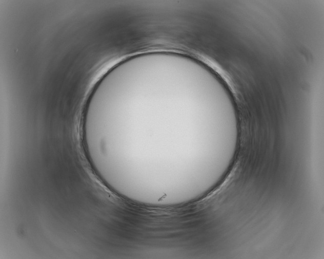 X0000111231415200908131113