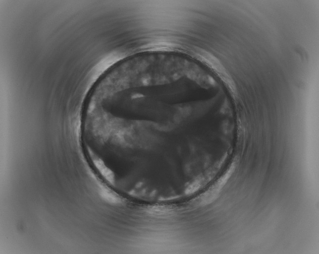 X0000111231418200908131113