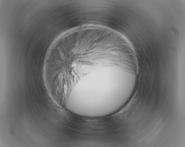X0000111231419200908131113