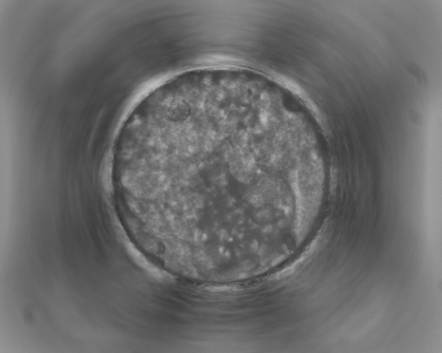 X0000111231421200908131113