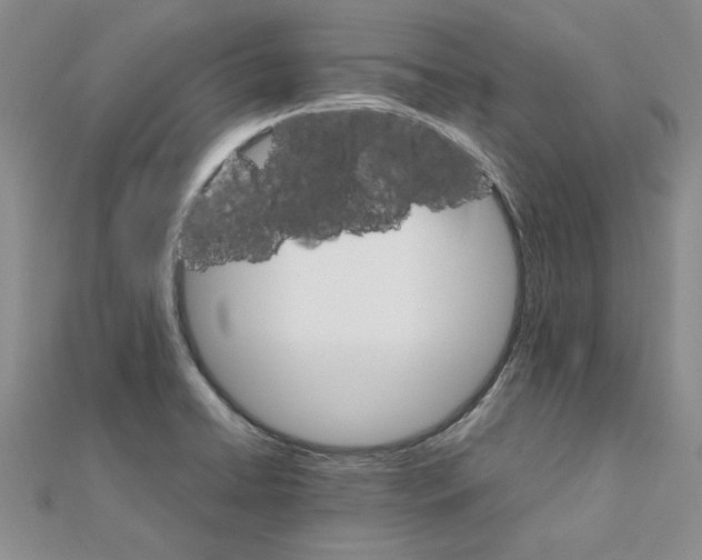 X0000111231422200908131113