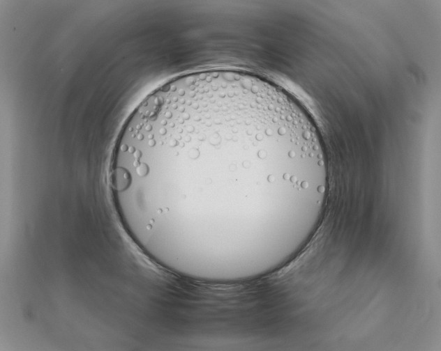 X0000111231423200908131113