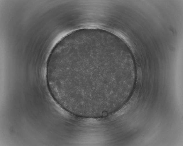 X0000111231424200908131113