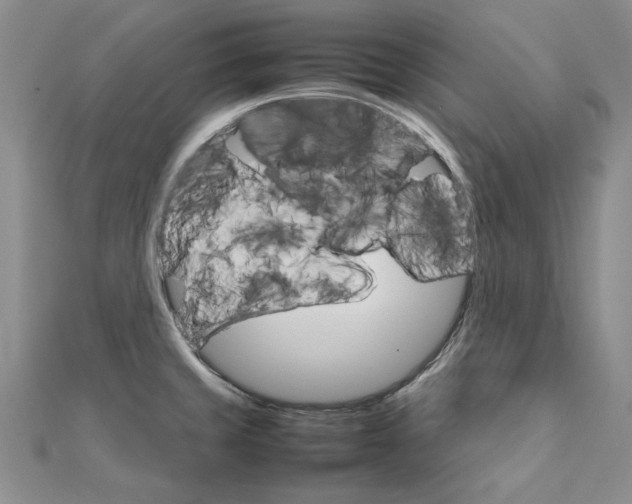 X0000111231429200908131113