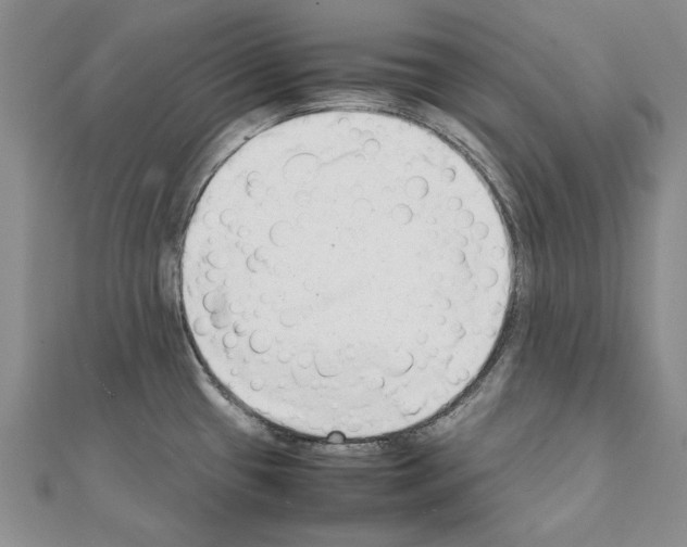 X0000111231433200908131114