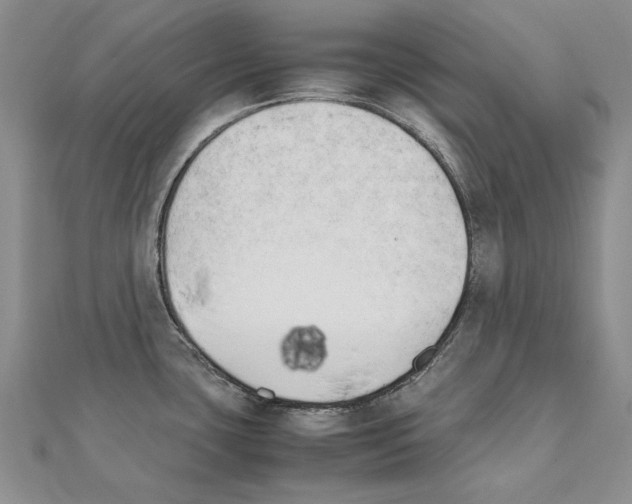X0000111231435200908131114