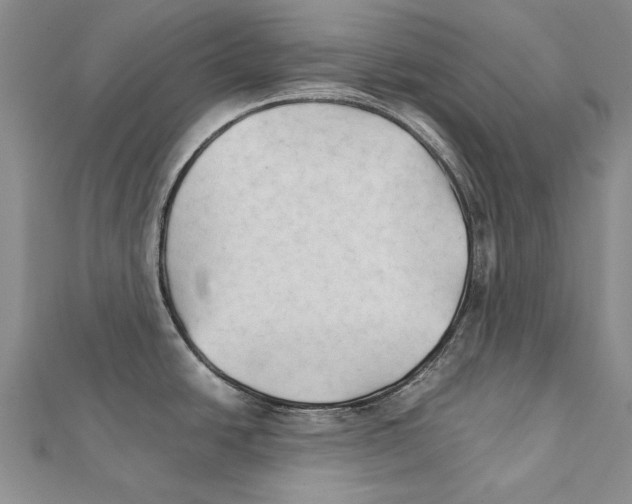 X0000111231438200908131114