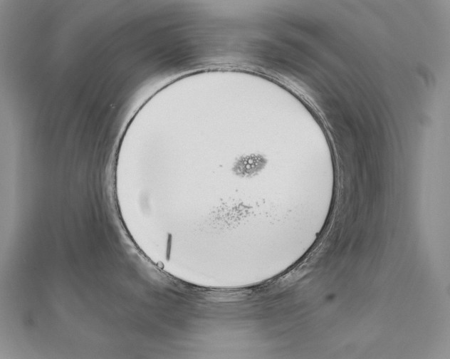 X0000111231440200908131114