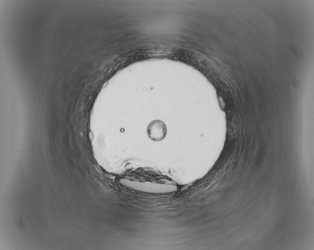 X0000111231441200908131113