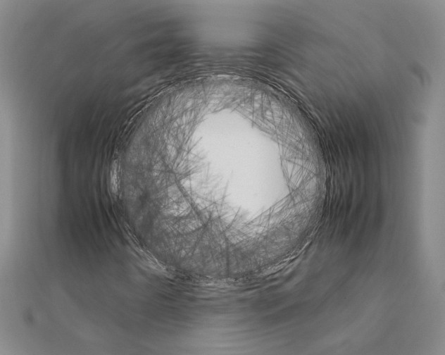 X0000111231442200908131113
