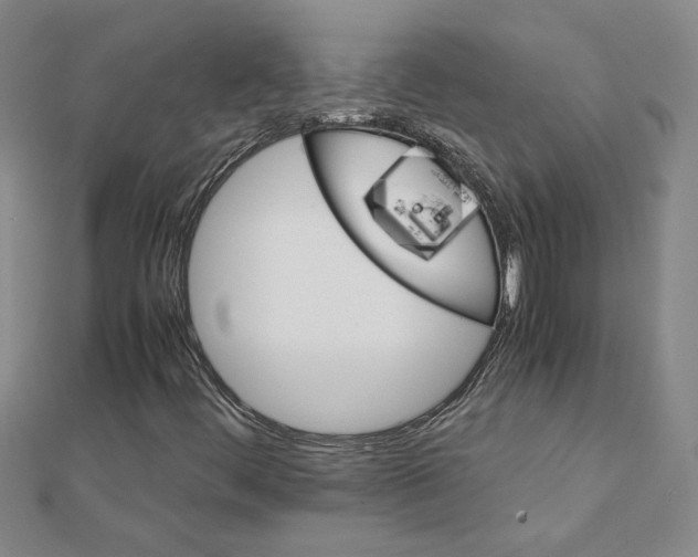 X0000111231444200908131113