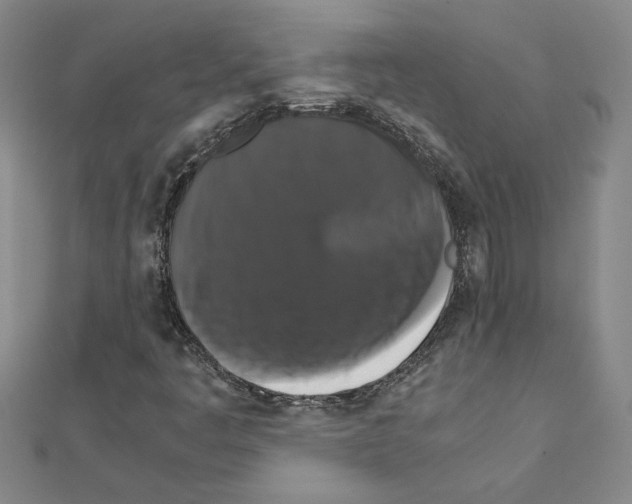 X0000111231445200908131113