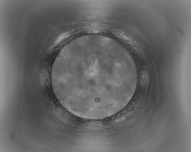 X0000111231446200908131113