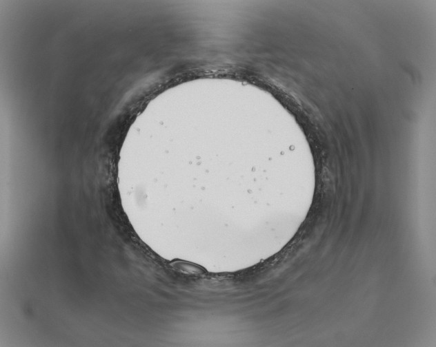 X0000111231447200908131113