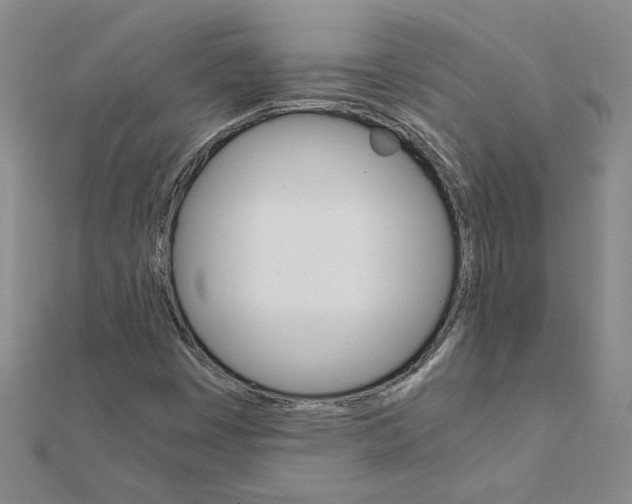 X0000111231449200908131113