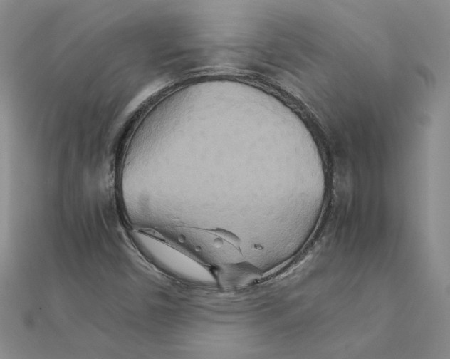 X0000111231450200908131113