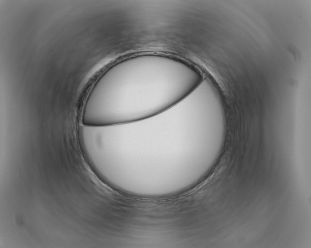 X0000111231452200908131113