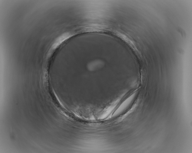 X0000111231453200908131113